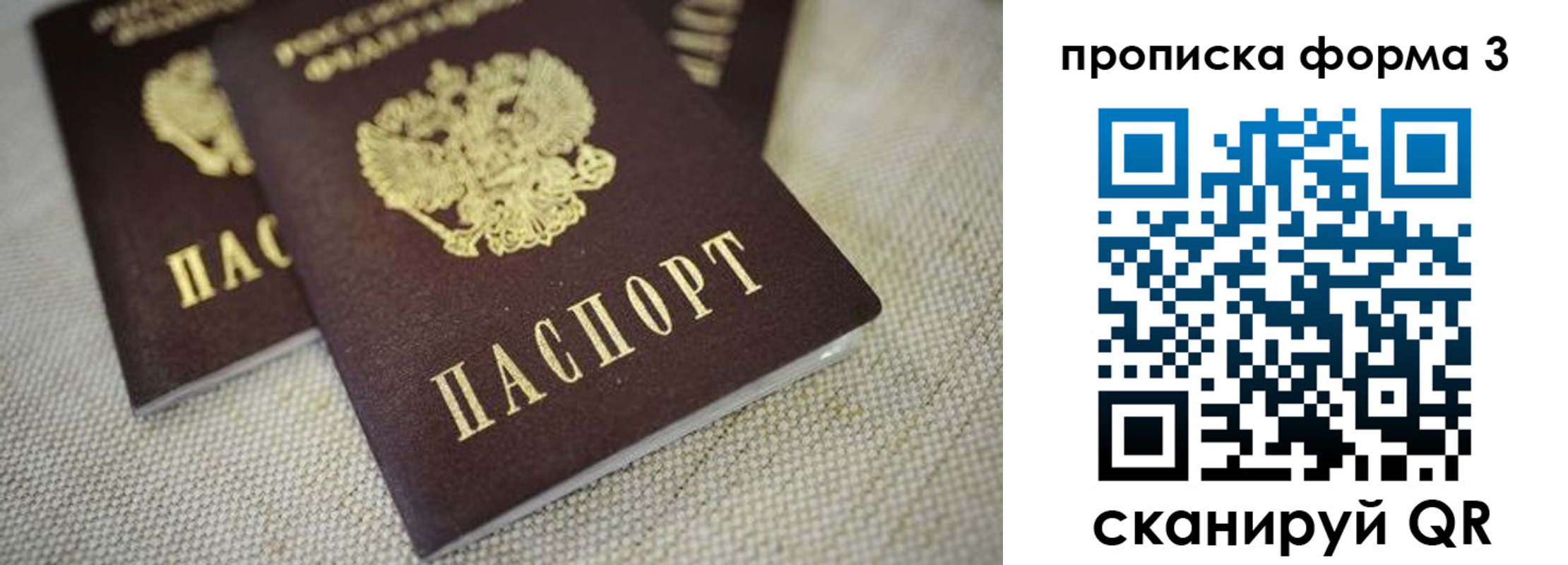 прописка поиск в Фролово